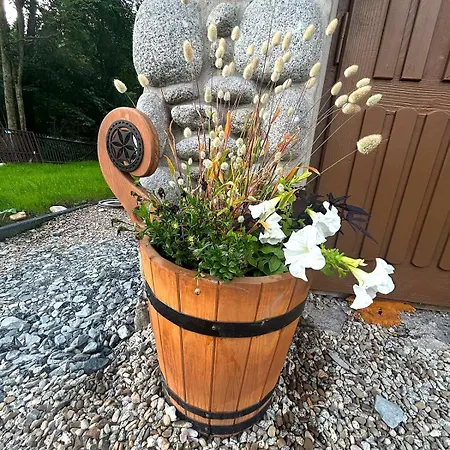 Przystanek Suche Lejlighed *