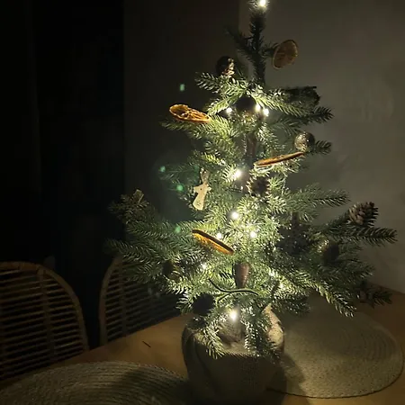 Przystanek Suche Lejlighed *