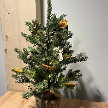 Przystanek Suche Apartment