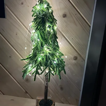 Lejlighed Przystanek Suche Poronin