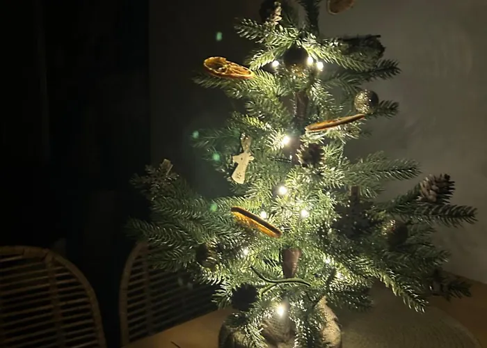 Przystanek Suche アパート *