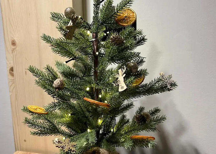 Przystanek Suche Apartamento